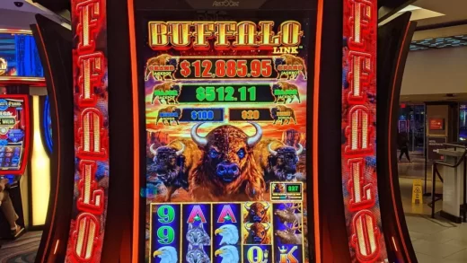 how to play buffalo slot machine